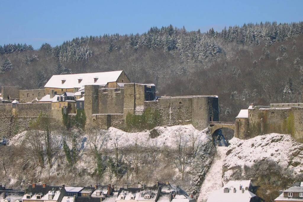 A Bouillon, Appartement Vintage Vue Sur Le Chateau Экстерьер фото